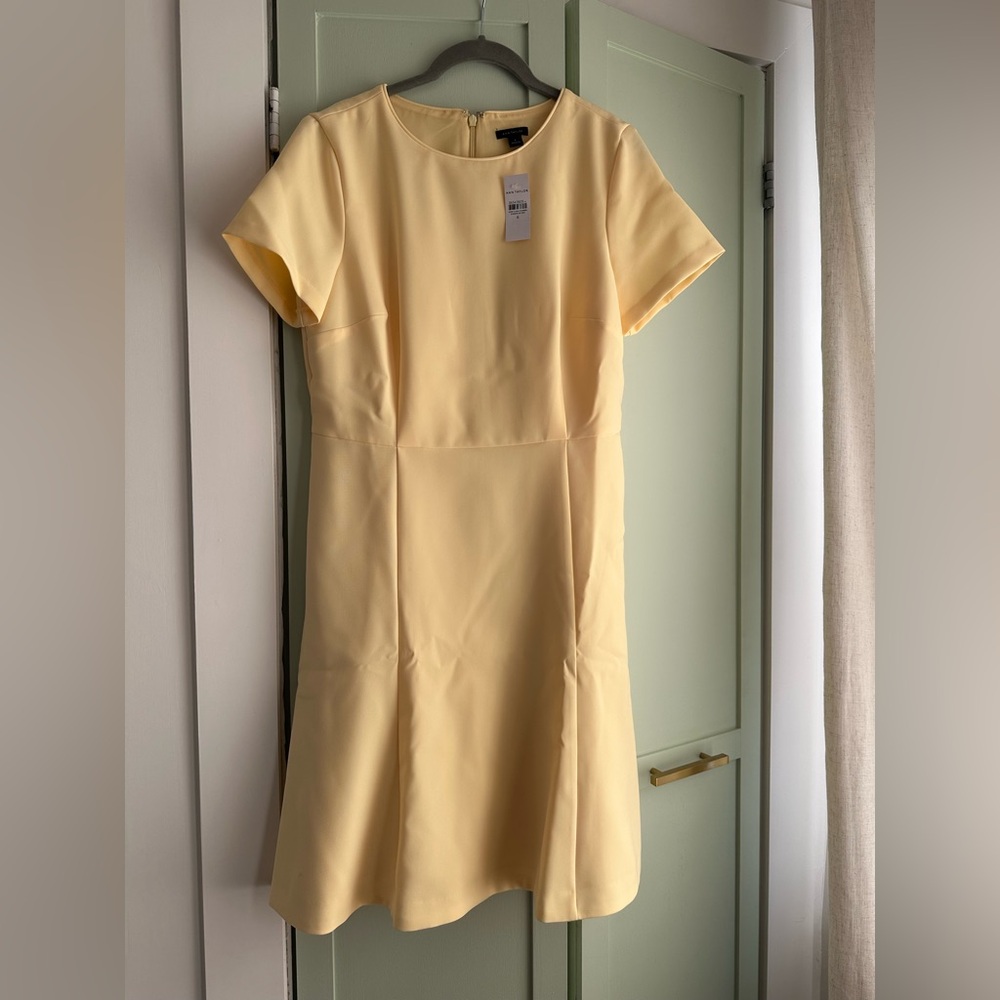 Ann Taylor A Lined dress BNWT